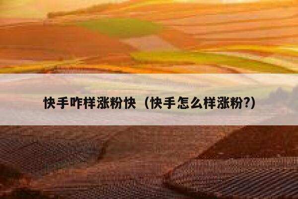 快手咋样涨粉快(快手怎么样涨粉?) 第1张 快手咋样涨粉快(快手怎么样涨粉?) 第1张