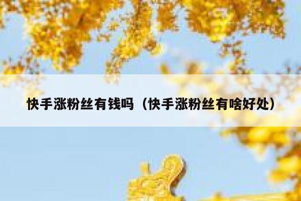 快手涨粉丝有钱吗(快手涨粉丝有啥好处) 第1张 快手涨粉丝有钱吗(快手涨粉丝有啥好处) 第1张