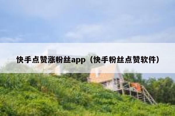 快手点赞涨粉丝app（快手粉丝点赞软件） 第1张