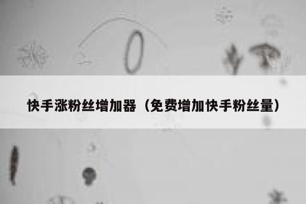快手涨粉丝增加器(免费增加快手粉丝量) 第1张 快手涨粉丝增加器(免费增加快手粉丝量) 第1张