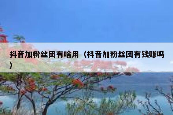 抖音加粉丝团有啥用(抖音加粉丝团有钱赚吗) 第1张 抖音加粉丝团有啥用(抖音加粉丝团有钱赚吗) 第1张