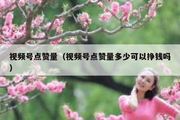 视频号点赞量(视频号点赞量多少可以挣钱吗) 第1张 视频号点赞量(视频号点赞量多少可以挣钱吗) 第1张