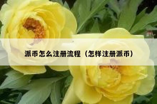派币怎么注册流程(怎样注册派币) 第1张 派币怎么注册流程(怎样注册派币) 第1张