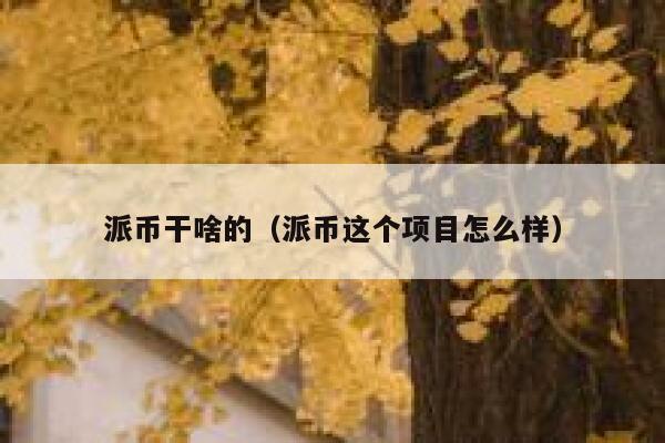 派币干啥的(派币这个项目怎么样) 第1张 派币干啥的(派币这个项目怎么样) 第1张