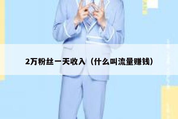 2万粉丝一天收入（什么叫流量赚钱） 第1张
