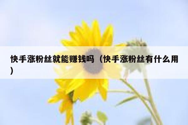 快手涨粉丝就能赚钱吗(快手涨粉丝有什么用) 第1张 快手涨粉丝就能赚钱吗(快手涨粉丝有什么用) 第1张