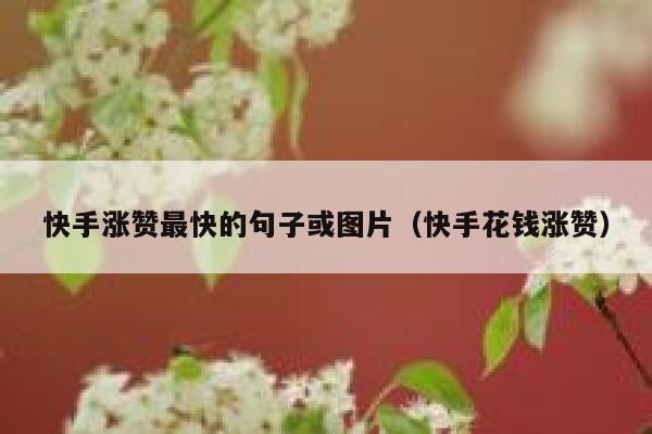 快手涨赞最快的句子或图片(快手花钱涨赞) 第1张 快手涨赞最快的句子或图片(快手花钱涨赞) 第1张