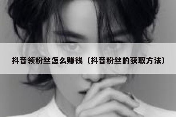 抖音领粉丝怎么赚钱(抖音粉丝的获取方法) 第1张 抖音领粉丝怎么赚钱(抖音粉丝的获取方法) 第1张
