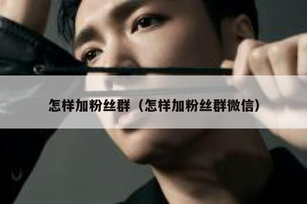 怎样加粉丝群（怎样加粉丝群微信） 第1张