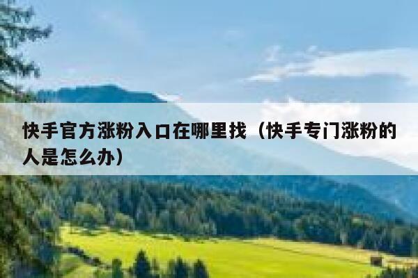 快手官方涨粉入口在哪里找（快手专门涨粉的人是怎么办） 第1张