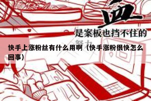 快手上涨粉丝有什么用啊(快手涨粉很快怎么回事) 第1张 快手上涨粉丝有什么用啊(快手涨粉很快怎么回事) 第1张