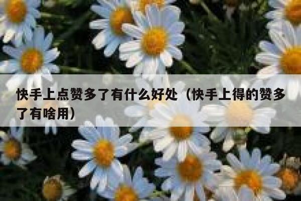 快手上点赞多了有什么好处(快手上得的赞多了有啥用) 第1张 快手上点赞多了有什么好处(快手上得的赞多了有啥用) 第1张