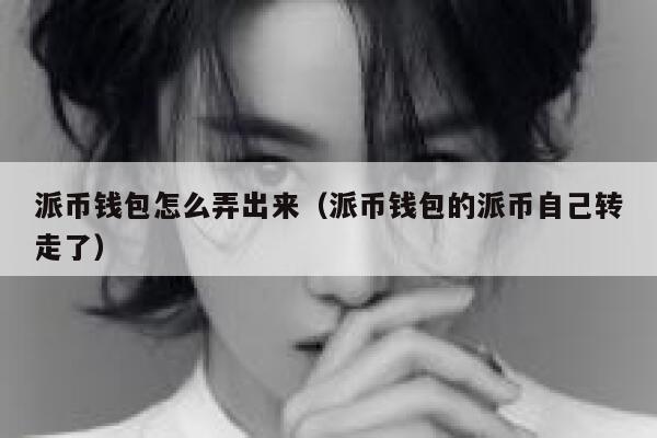 派币钱包怎么弄出来(派币钱包的派币自己转走了) 第1张 派币钱包怎么弄出来(派币钱包的派币自己转走了) 第1张