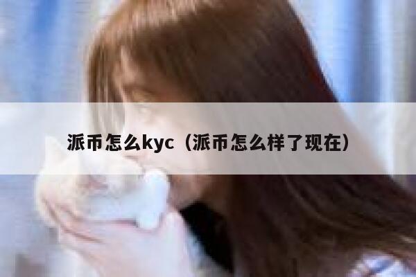 派币怎么kyc(派币怎么样了现在) 第1张 派币怎么kyc(派币怎么样了现在) 第1张