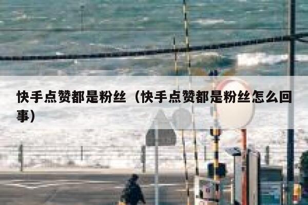 快手点赞都是粉丝(快手点赞都是粉丝怎么回事) 第1张 快手点赞都是粉丝(快手点赞都是粉丝怎么回事) 第1张