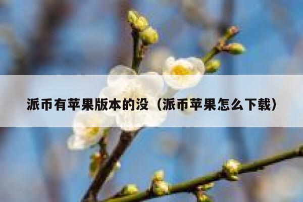 派币有苹果版本的没(派币苹果怎么下载) 第1张 派币有苹果版本的没(派币苹果怎么下载) 第1张