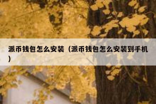 派币钱包怎么安装(派币钱包怎么安装到手机) 第1张 派币钱包怎么安装(派币钱包怎么安装到手机) 第1张