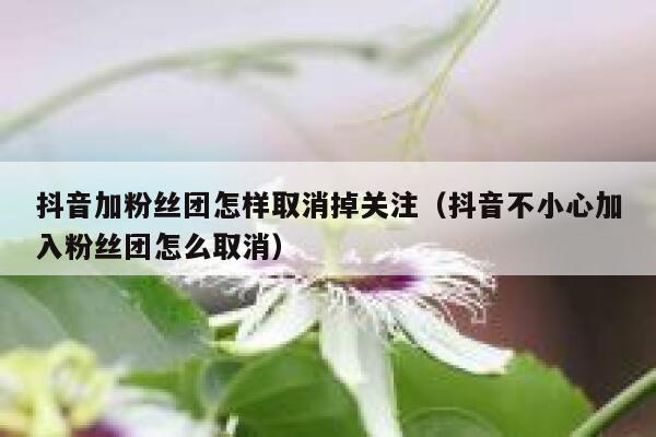 抖音加粉丝团怎样取消掉关注(抖音不小心加入粉丝团怎么取消) 第1张 抖音加粉丝团怎样取消掉关注(抖音不小心加入粉丝团怎么取消) 第1张