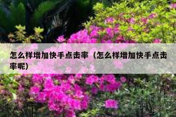 怎么样增加快手点击率(怎么样增加快手点击率呢) 第1张 怎么样增加快手点击率(怎么样增加快手点击率呢) 第1张