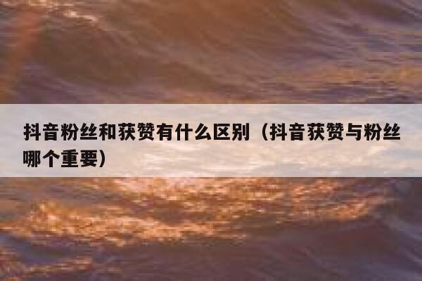 抖音粉丝和获赞有什么区别(抖音获赞与粉丝哪个重要) 第1张 抖音粉丝和获赞有什么区别(抖音获赞与粉丝哪个重要) 第1张