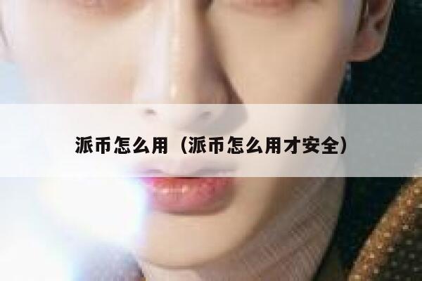 派币怎么用(派币怎么用才安全) 第1张 派币怎么用(派币怎么用才安全) 第1张