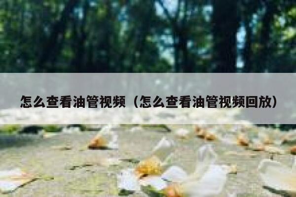 怎么查看油管视频(怎么查看油管视频回放) 第1张 怎么查看油管视频(怎么查看油管视频回放) 第1张