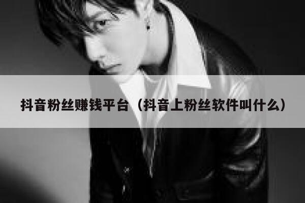 抖音粉丝赚钱平台（抖音上粉丝软件叫什么） 第1张