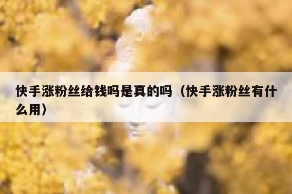 快手涨粉丝给钱吗是真的吗（快手涨粉丝有什么用） 第1张