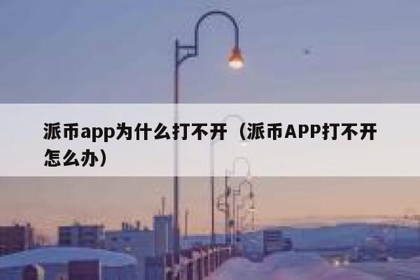 派币app为什么打不开（派币APP打不开怎么办） 第1张