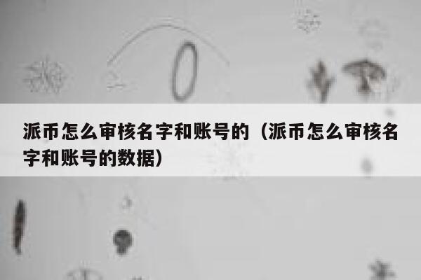 派币怎么审核名字和账号的(派币怎么审核名字和账号的数据) 第1张 派币怎么审核名字和账号的(派币怎么审核名字和账号的数据) 第1张