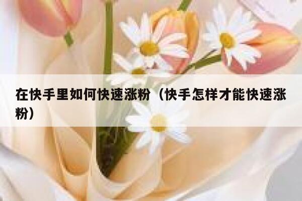 在快手里如何快速涨粉（快手怎样才能快速涨粉） 第1张