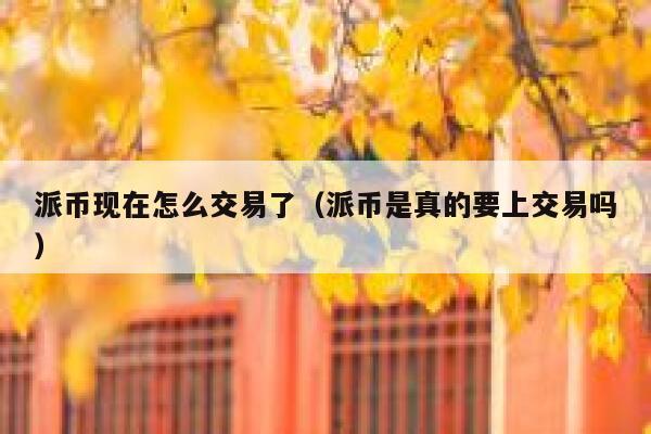 派币现在怎么交易了(派币是真的要上交易吗) 第1张 派币现在怎么交易了(派币是真的要上交易吗) 第1张