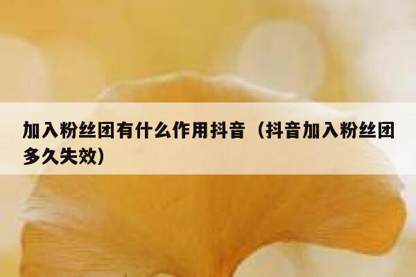 加入粉丝团有什么作用抖音(抖音加入粉丝团多久失效) 第1张 加入粉丝团有什么作用抖音(抖音加入粉丝团多久失效) 第1张