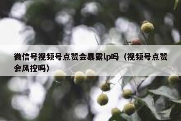 微信号视频号点赞会暴露lp吗(视频号点赞会风控吗) 第1张 微信号视频号点赞会暴露lp吗(视频号点赞会风控吗) 第1张