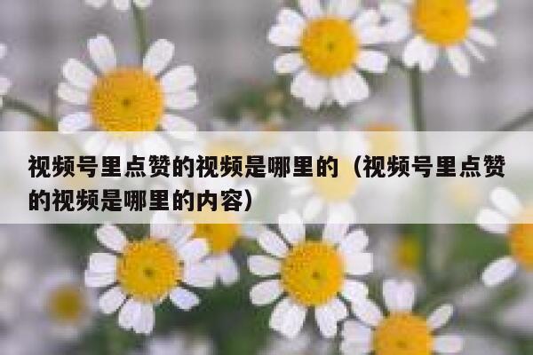 视频号里点赞的视频是哪里的(视频号里点赞的视频是哪里的内容) 第1张 视频号里点赞的视频是哪里的(视频号里点赞的视频是哪里的内容) 第1张