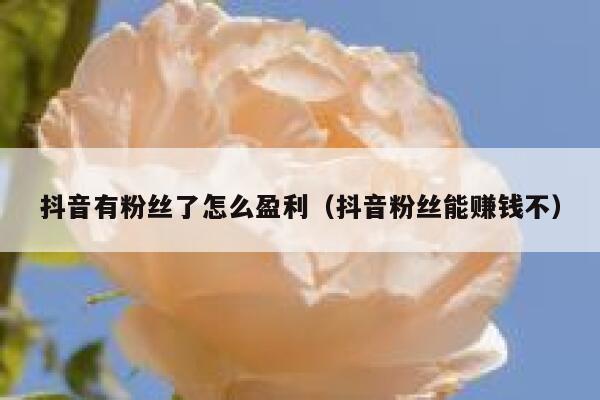 抖音有粉丝了怎么盈利(抖音粉丝能赚钱不) 第1张 抖音有粉丝了怎么盈利(抖音粉丝能赚钱不) 第1张
