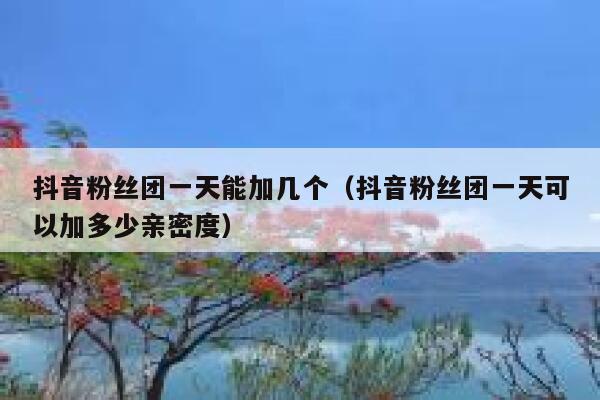 抖音粉丝团一天能加几个(抖音粉丝团一天可以加多少亲密度) 第1张 抖音粉丝团一天能加几个(抖音粉丝团一天可以加多少亲密度) 第1张