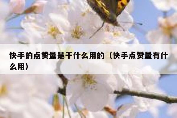 快手的点赞量是干什么用的（快手点赞量有什么用） 第1张