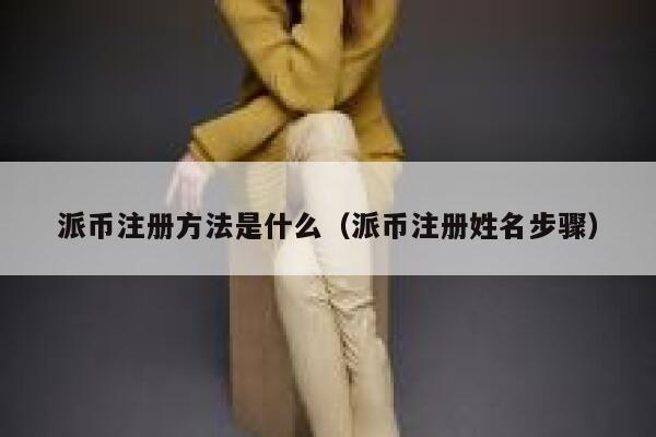 派币注册方法是什么（派币注册姓名步骤） 第1张