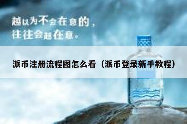 派币注册流程图怎么看(派币登录新手教程) 第1张 派币注册流程图怎么看(派币登录新手教程) 第1张