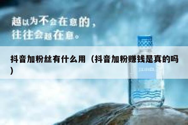 抖音加粉丝有什么用(抖音加粉赚钱是真的吗) 第1张 抖音加粉丝有什么用(抖音加粉赚钱是真的吗) 第1张
