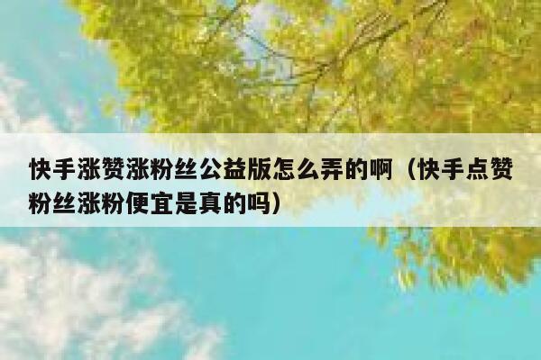 快手涨赞涨粉丝公益版怎么弄的啊(快手点赞粉丝涨粉便宜是真的吗) 第1张 快手涨赞涨粉丝公益版怎么弄的啊(快手点赞粉丝涨粉便宜是真的吗) 第1张
