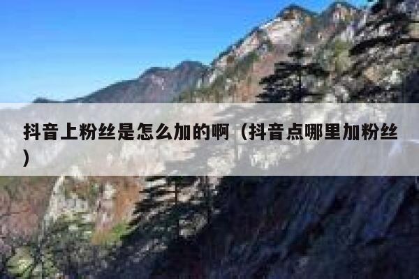 抖音上粉丝是怎么加的啊(抖音点哪里加粉丝) 第1张 抖音上粉丝是怎么加的啊(抖音点哪里加粉丝) 第1张
