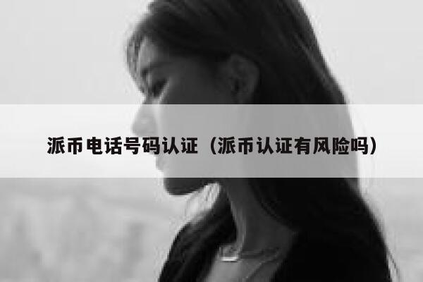 派币电话号码认证(派币认证有风险吗) 第1张 派币电话号码认证(派币认证有风险吗) 第1张