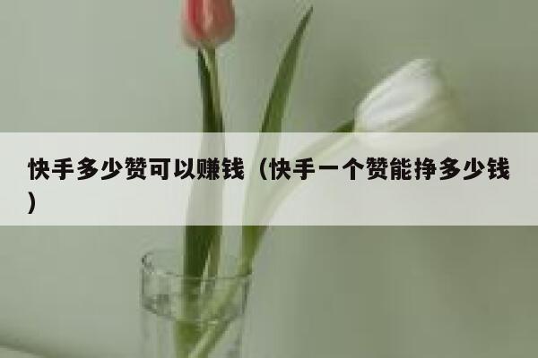 快手多少赞可以赚钱（快手一个赞能挣多少钱） 第1张