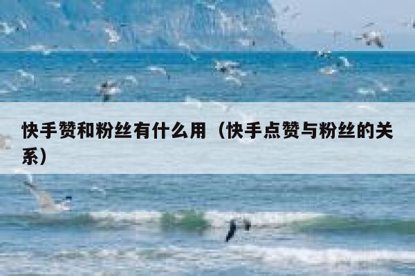 快手赞和粉丝有什么用(快手点赞与粉丝的关系) 第1张 快手赞和粉丝有什么用(快手点赞与粉丝的关系) 第1张