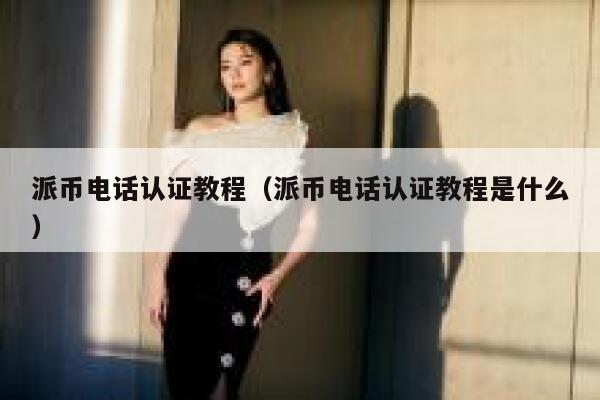 派币电话认证教程（派币电话认证教程是什么） 第1张