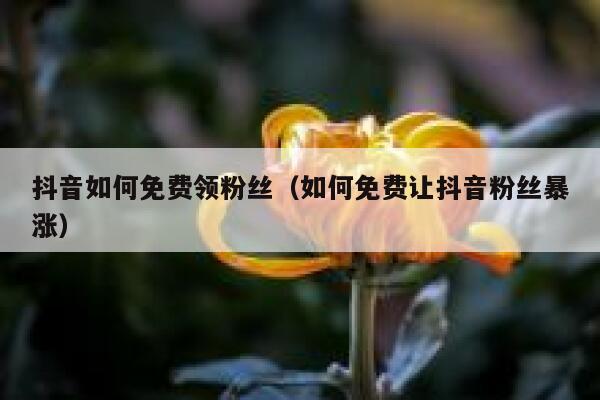 抖音如何免费领粉丝（如何免费让抖音粉丝暴涨） 第1张