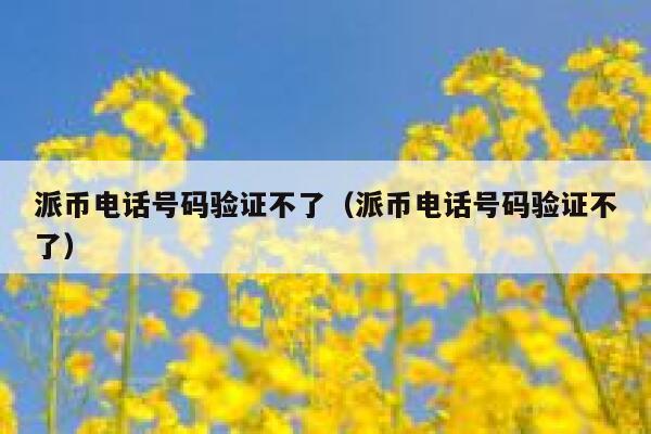 派币电话号码验证不了(派币电话号码验证不了) 第1张 派币电话号码验证不了(派币电话号码验证不了) 第1张