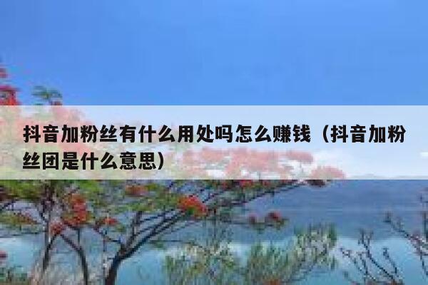 抖音加粉丝有什么用处吗怎么赚钱(抖音加粉丝团是什么意思) 第1张 抖音加粉丝有什么用处吗怎么赚钱(抖音加粉丝团是什么意思) 第1张